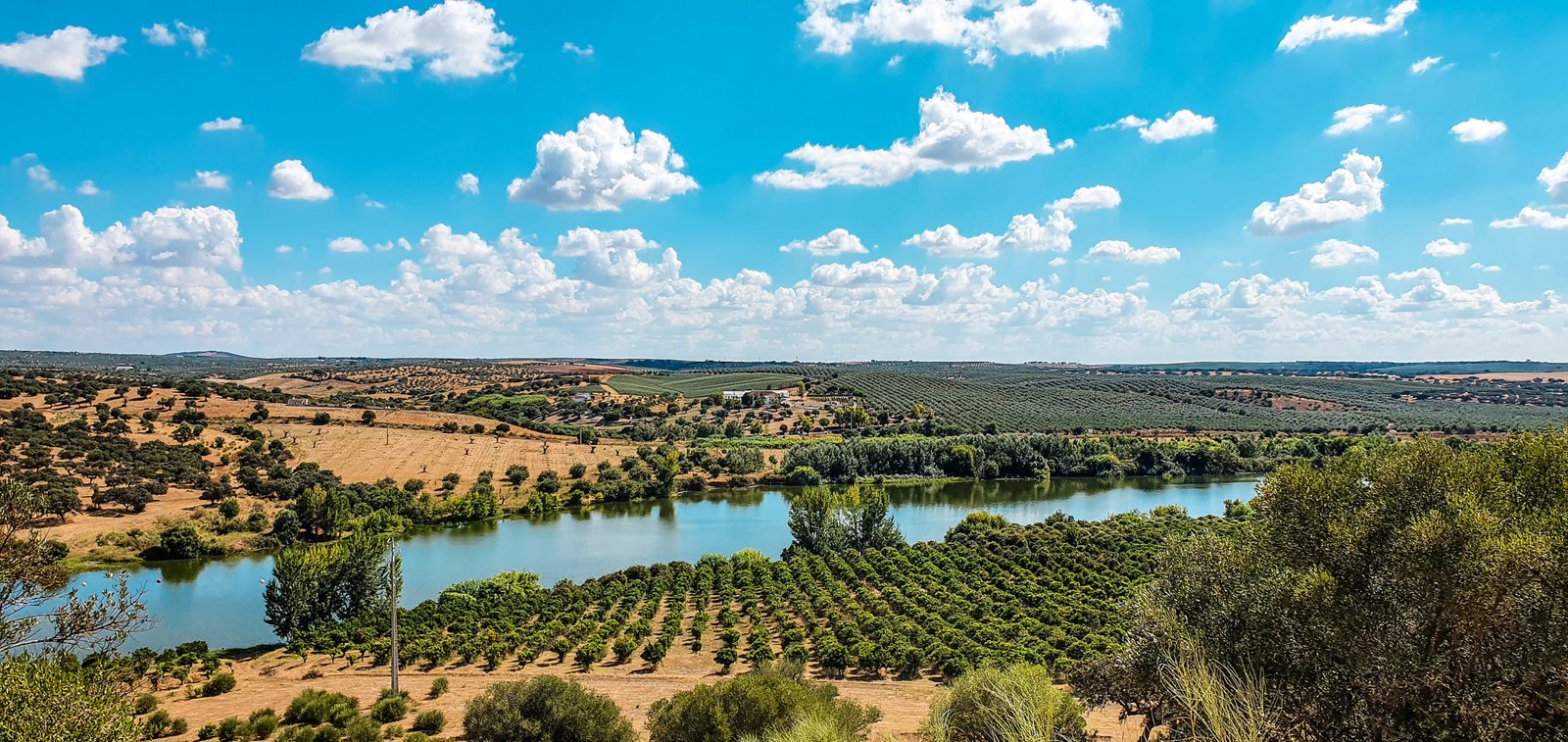 Harvest season activities